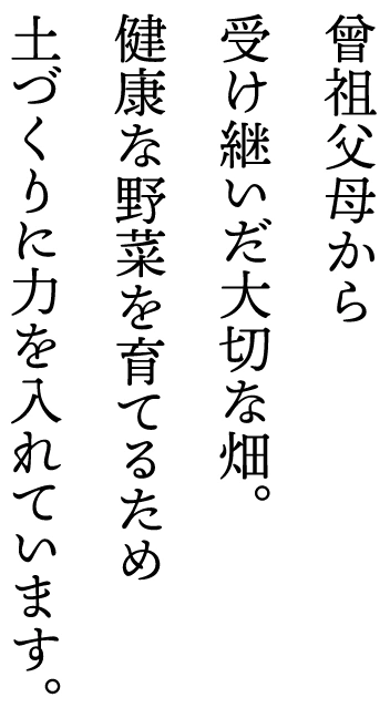 曾祖父母から　受け継いだ大切な畑