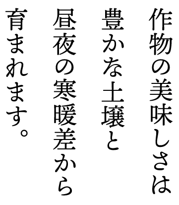 作物の美味しさは　豊かな土壌と